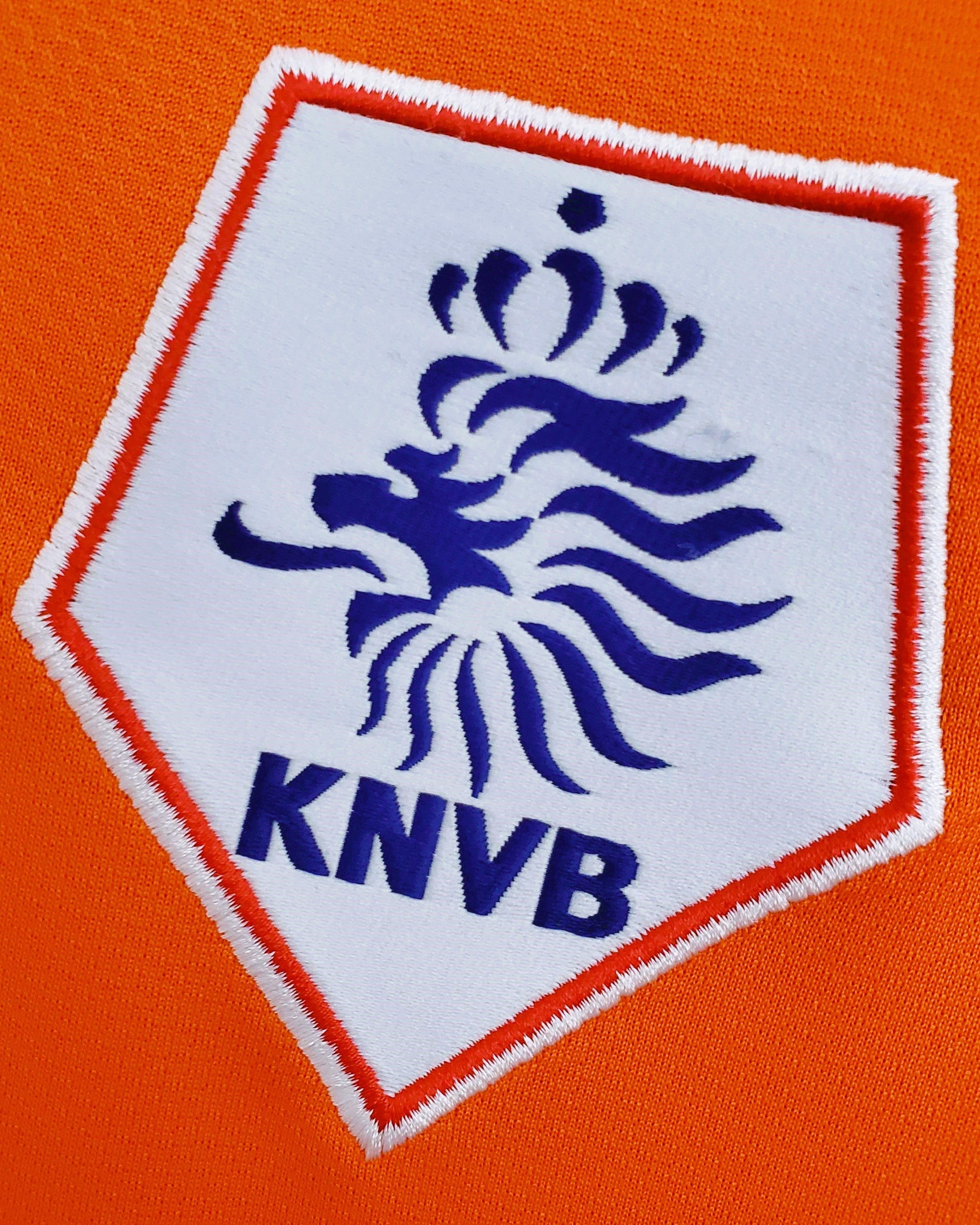 ROBBEN ARJEN 2008-09 (Ned)