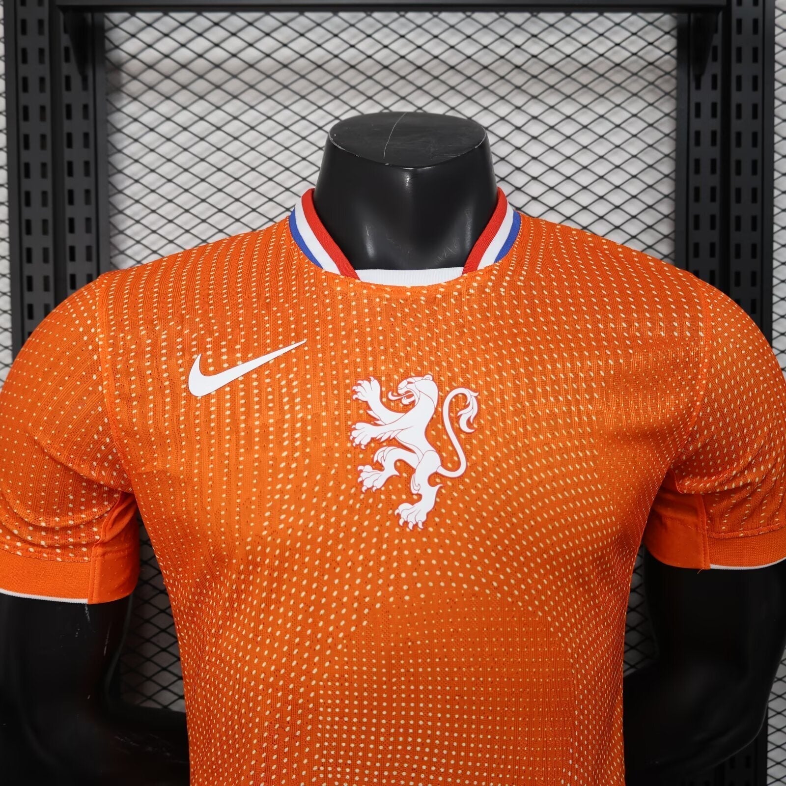 Netherland World Cup 2026